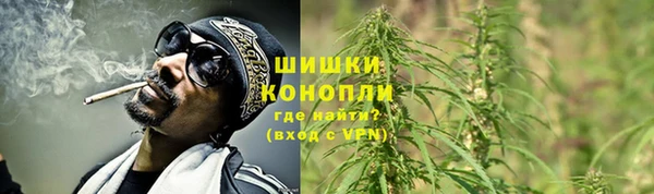 молекула духа Белокуриха