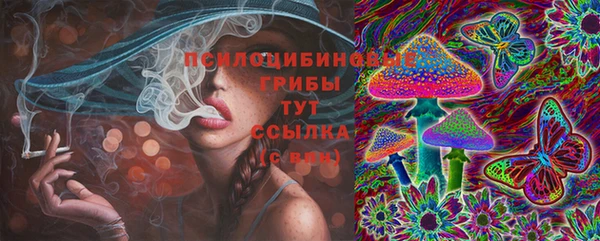 гидра Белоозёрский