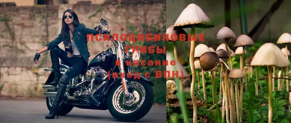молекула духа Белокуриха