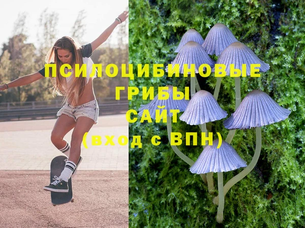 молекула духа Белокуриха